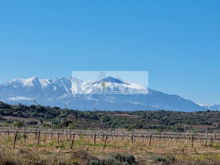 Vente villa Baixas