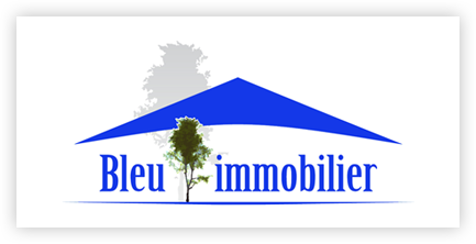 BLEU IMMOBILIER